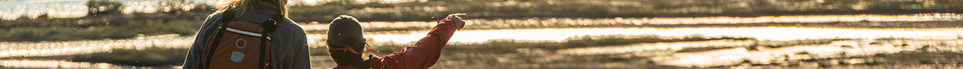 ImageSeperator 1390px 28 SwampExplorer