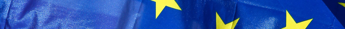 SeperatorHeadlineBar 017 EU