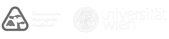 Partner Logo White
